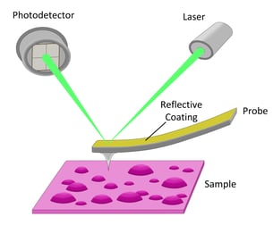 Probe with reflective backside coating